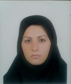 مترجم اکرم رمضانی مترجم اکرم رمضانی