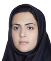 مترجم اکرم بروجردی مترجم اکرم بروجردی