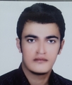 مترجم پیمان احمدی